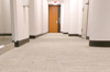 Executive Drive 2nd Floor Carpet